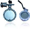 Butterfly Valve, BTA